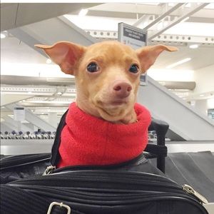 Meet your Posher, Erin